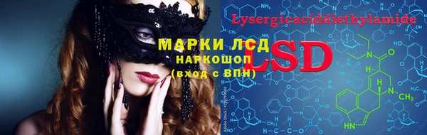 прущие грибы Нефтегорск