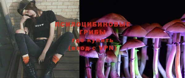 мескалин Новозыбков