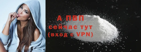 прущие грибы Нефтегорск