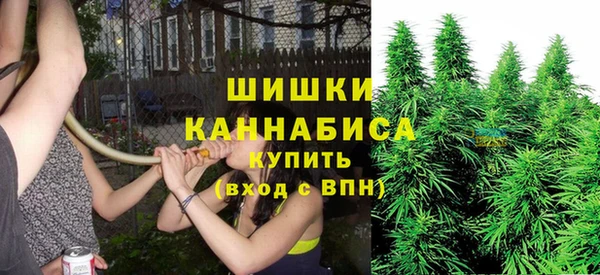 мескалин Новозыбков